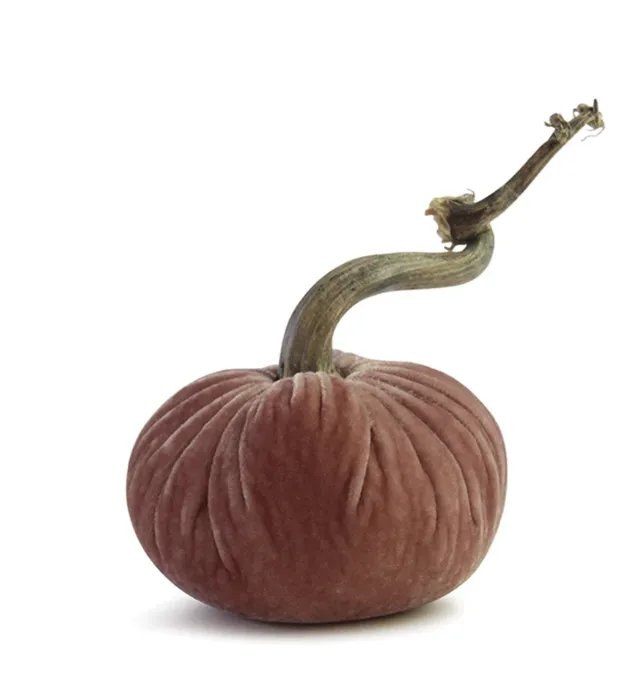 5" Velvet Pumpkin