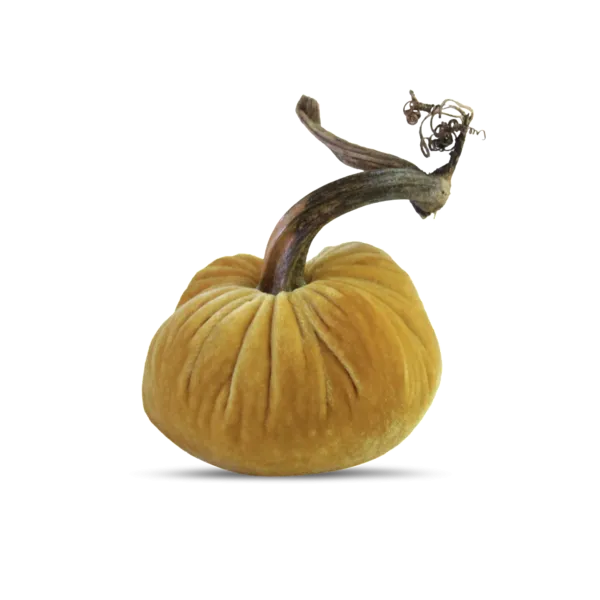 5" Velvet Pumpkin