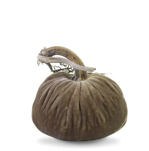 5" Velvet Pumpkin