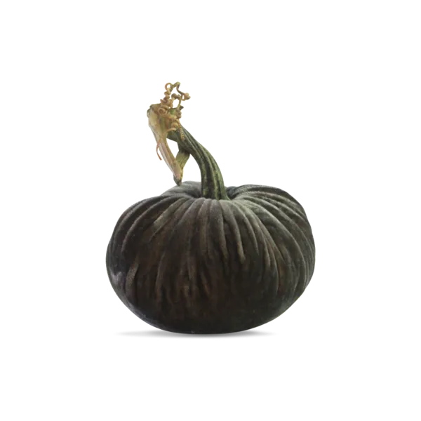 5" Velvet Pumpkin