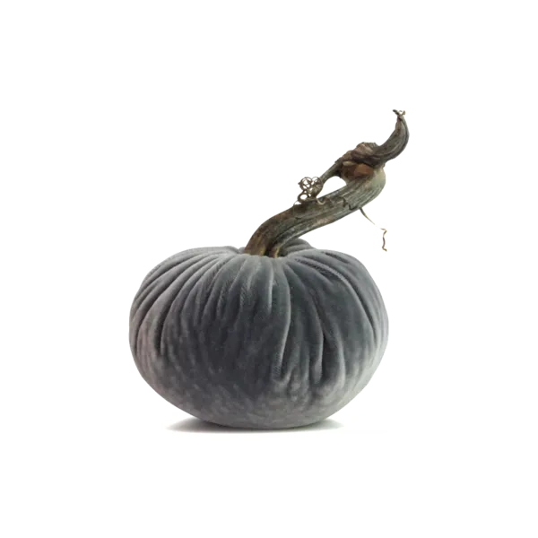 5" Velvet Pumpkin