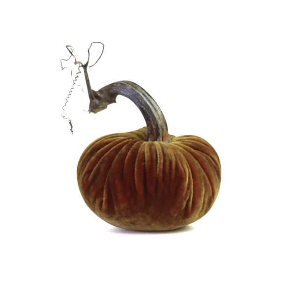 5" Velvet Pumpkin