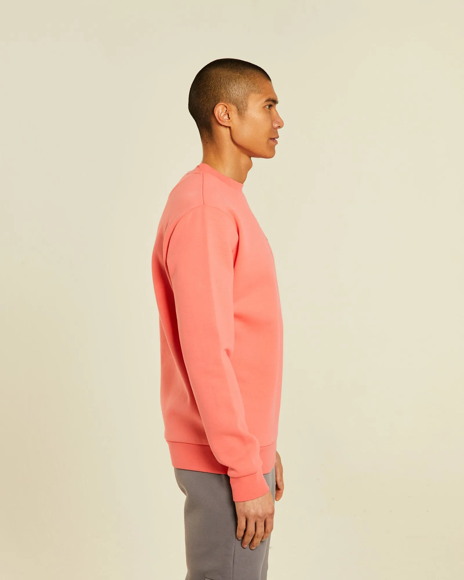 Davog Sweatshirt Bright Peach