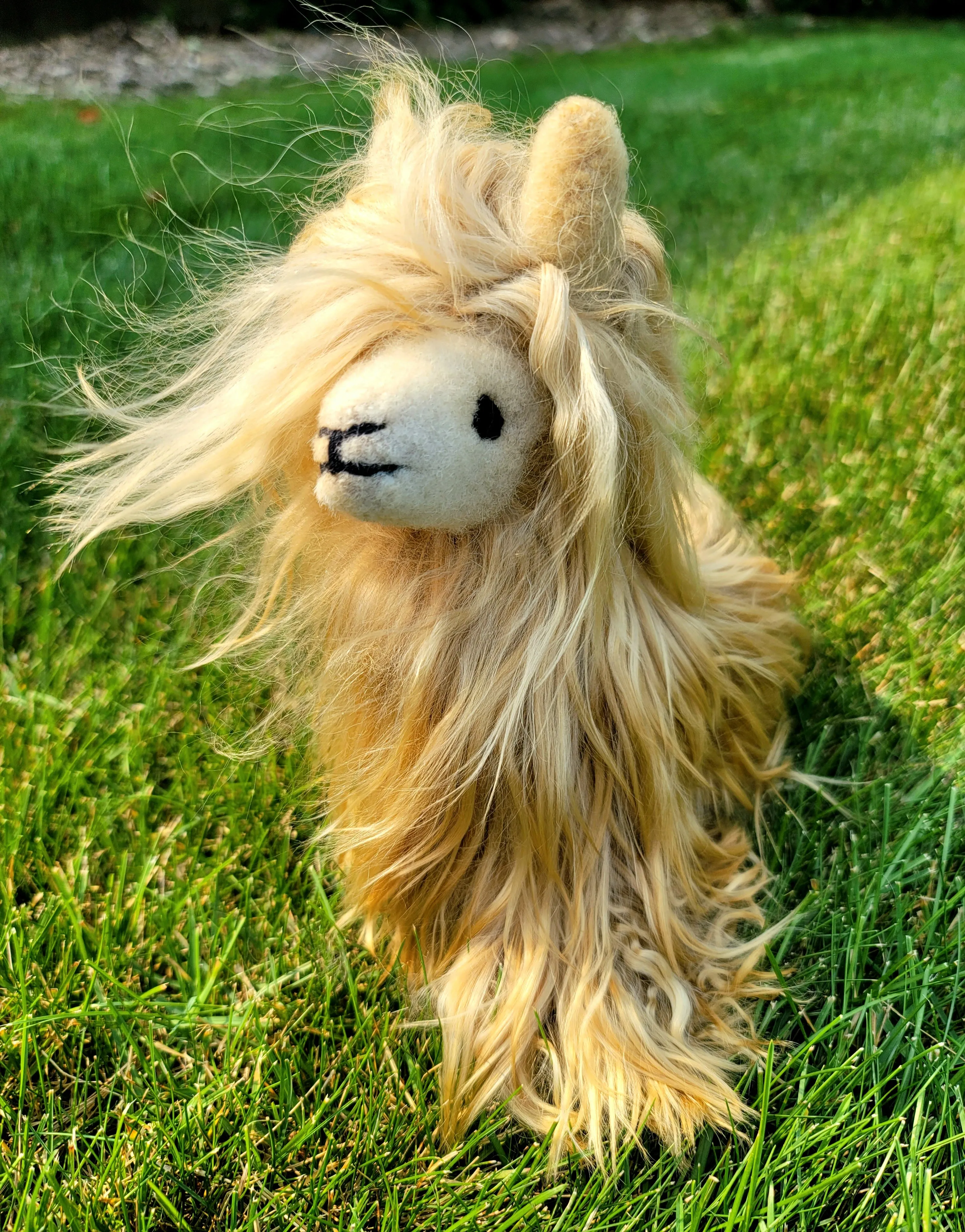 Funky Alpaca