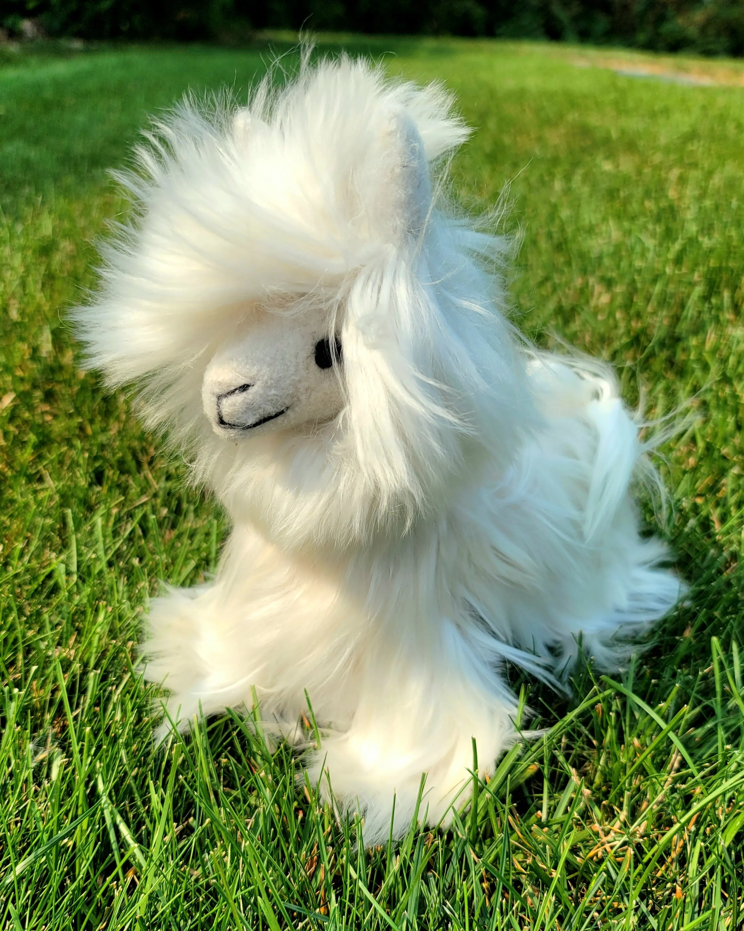 Funky Alpaca